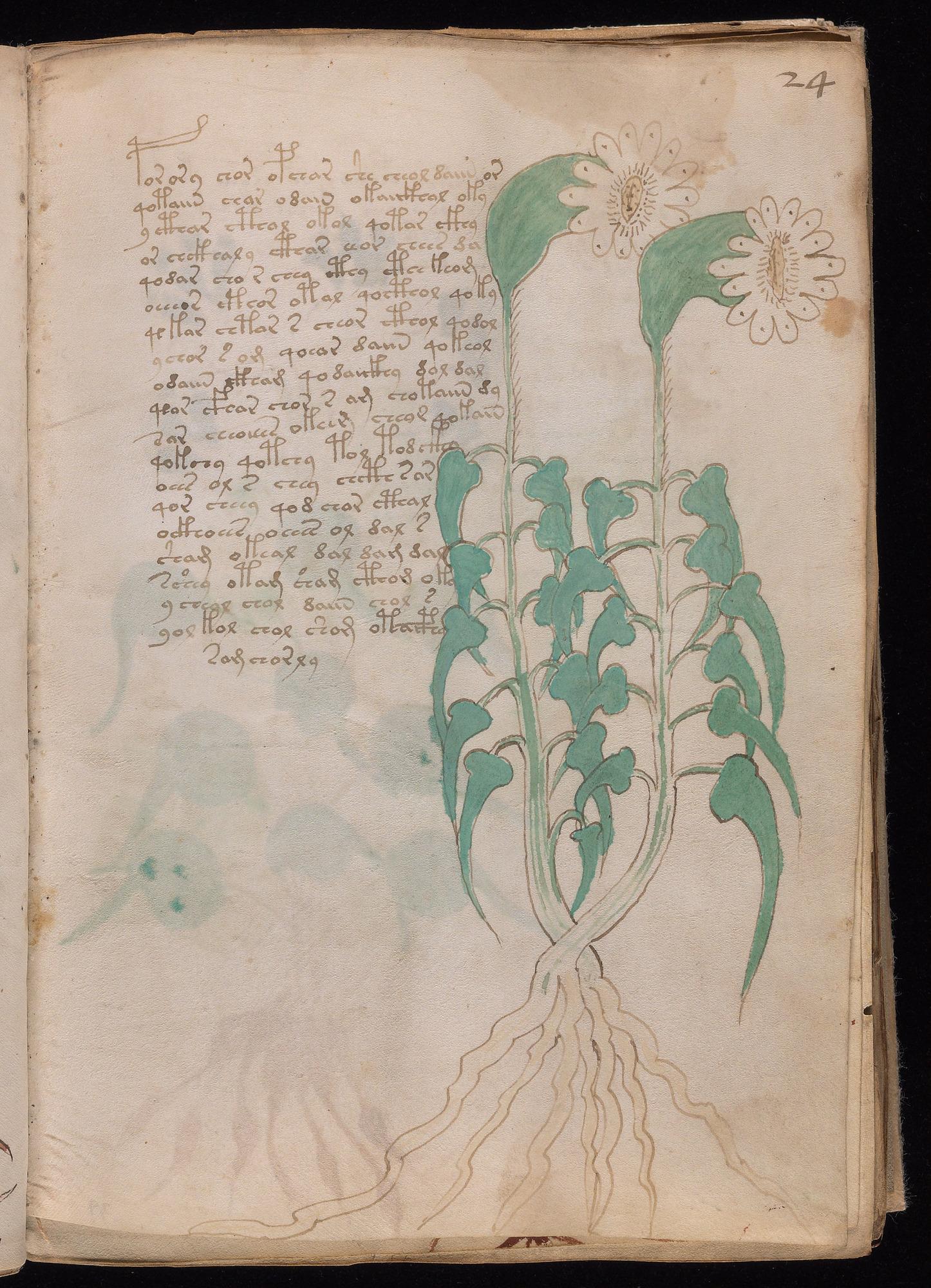 Herbal Page 45